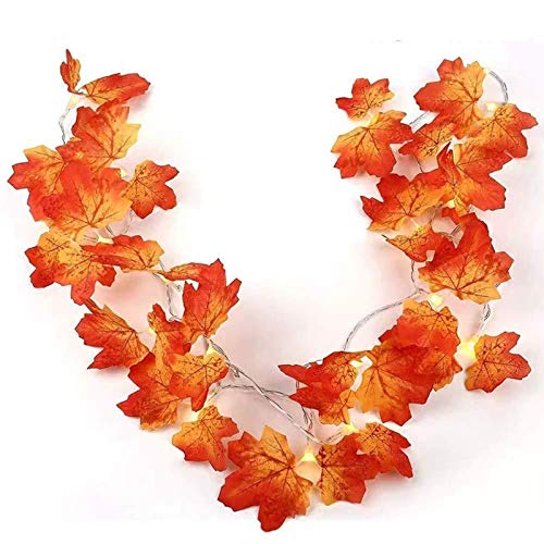 Twinkle Star Thanksgiving Decoration Fall Lights, 2 Pack Maple Leaves String Lights, Each Strings with 20 LED 11 FT Battery Operated Light, Decor for Indoor, Halloween, Autumn Harvest Festival