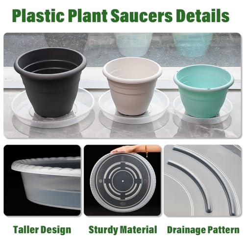 RooTrimmer 5 Pack 12 Inch Plant Saucer for Indoor Plants,Clear Plastic Plant Trays for Pots,Heavy Duty Durable Flower Pot Saucers to Protect Floors & Furniture by RooTrimmer - Image 4