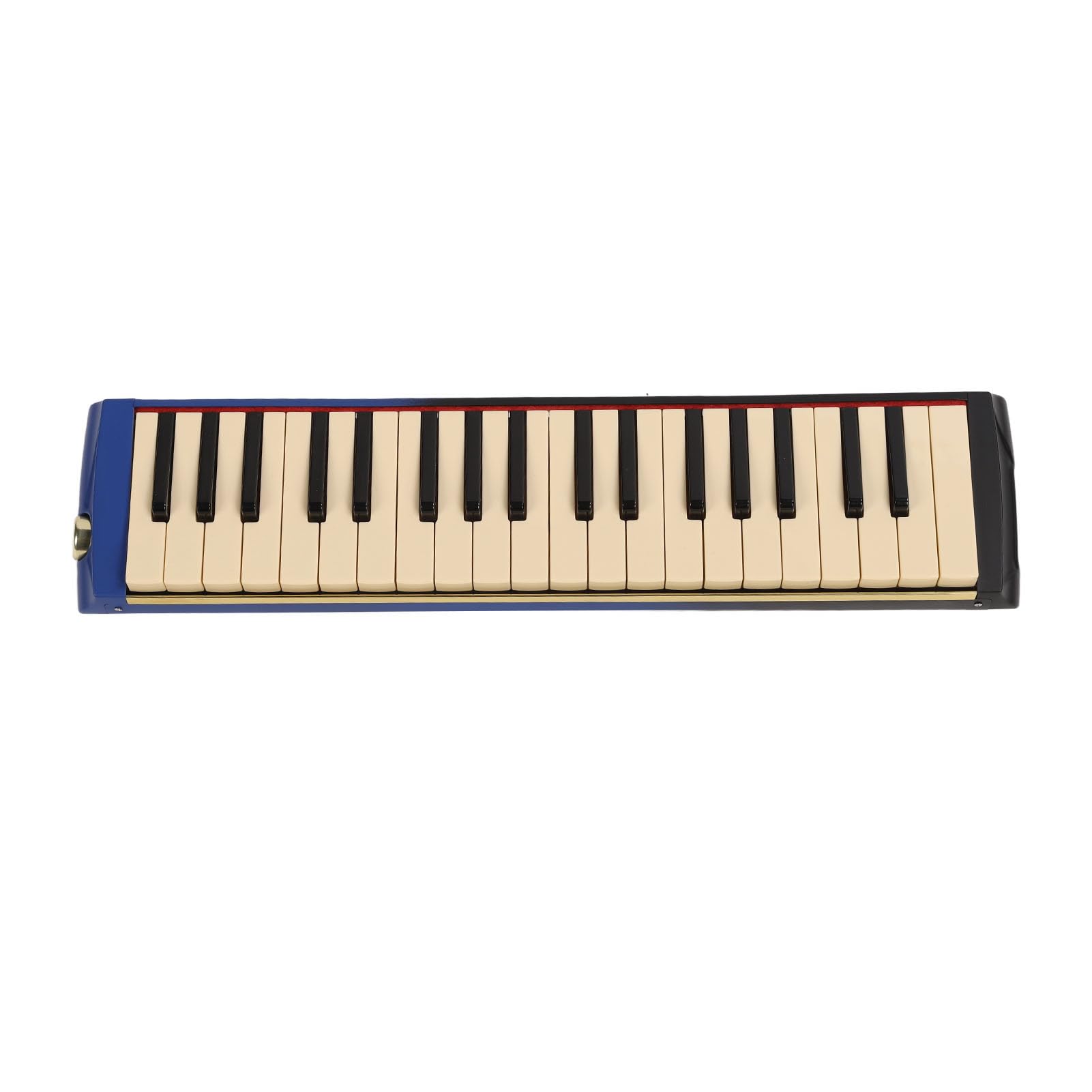 RIZGHWOY 37-klawiszowy Instrument Melodica z Ustnikiem, Profesjonalne Wykonanie do ćwiczeń Muzycznych i Występów na żywo