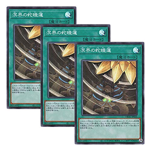 �y 3���Z�b�g �z�V�Y�� ���{��� DBAG-JP010 Ogdoadic Water Lily ���E�̎֐��@ (�X�[�p�[���A)