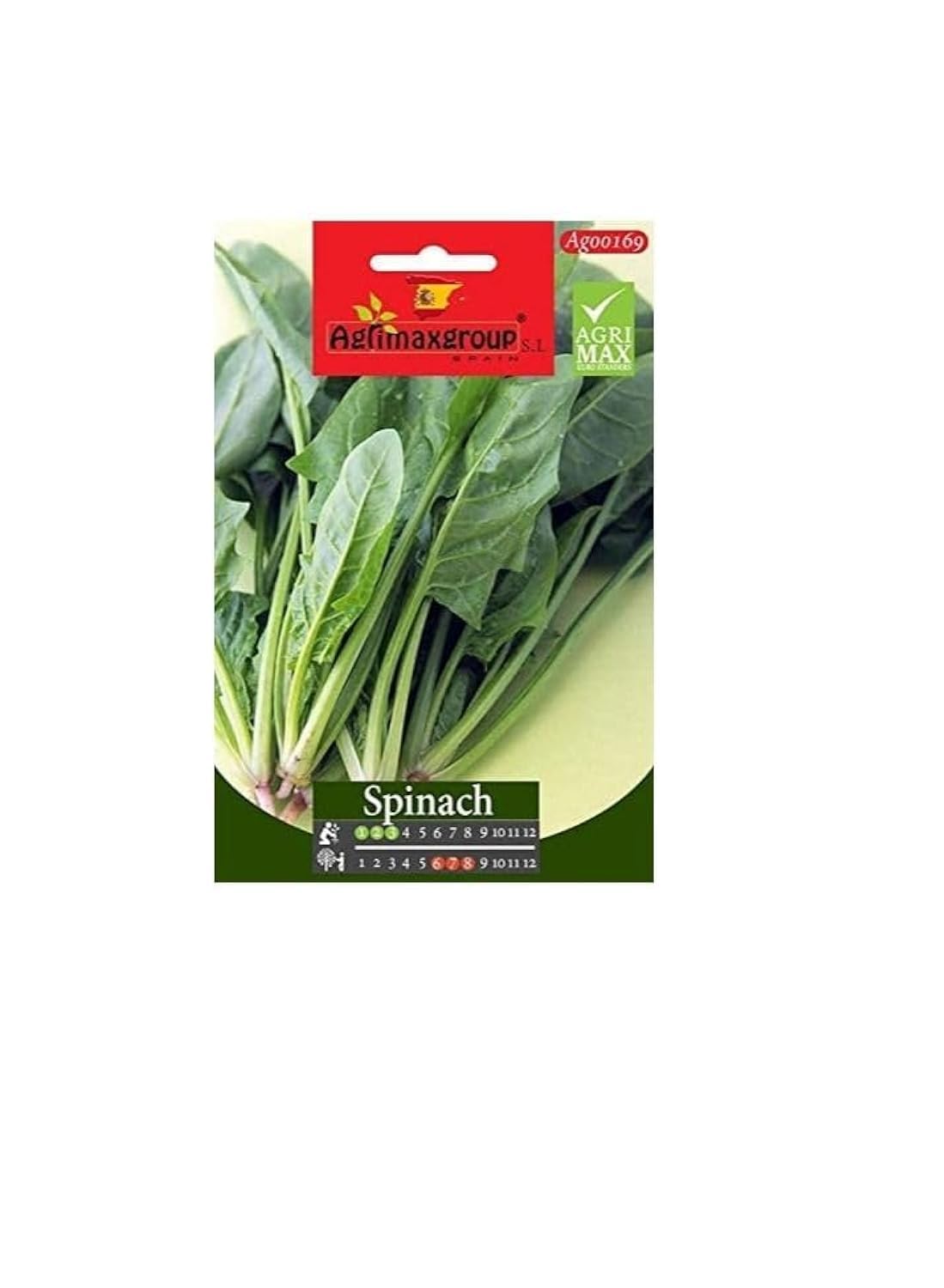 Agrimax- Agrimax Spinach Premium Quality Seeds (Made In Spain) By Agrimaxgroup