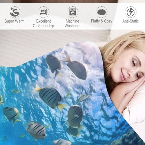 Couverture de canapé motif poisson pour vos soirées cocooning en hiver - 4