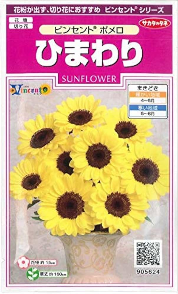 NO?YES! ひまわりのたね Amazon | サカタのタネ 実咲花5630 ミニひまわり 小夏 00905630 | 花