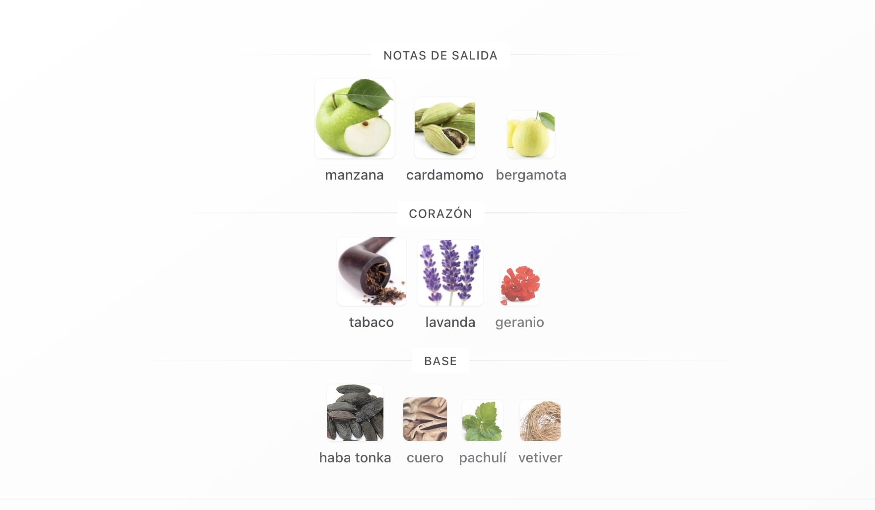 Lattafa Jasoor Eau de Parfum 100ml, Perfume Árabe Unisex de Larga Duración, Incluye Atomizador Recargable 5ml, Fragancia Oriental Amaderada con Notas de Manzana, Cardamomo, Tabaco y Cuero (Jasoor)