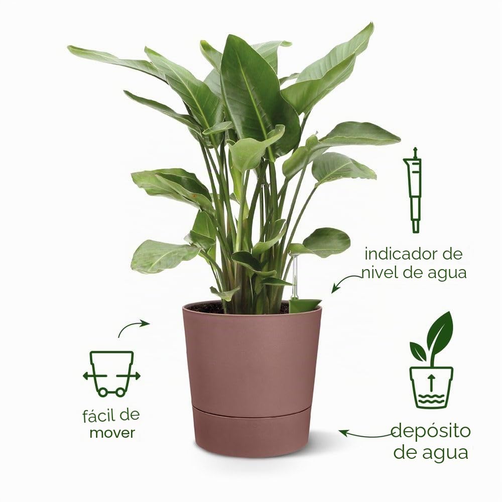 Elho Greensense Aqua Care Round 30cm Maceta - Charcoal Grey | ∅ 29.5 x 29.1 cm | Platillo integrado | Macetero por Interior y Exterior | Plástico 100% reciclado