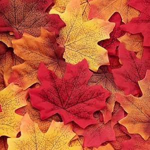Moon Boat 1100PCS Fall Artificial Maple Leaves Thanksgiving Autumn Leaf Wedding Party Table Decor,Multicolored Moon Boat 1100PCS Fall Artificial Maple Leaves Thanksgiving Autumn Leaf Wedding Party Table DecorMulticolored