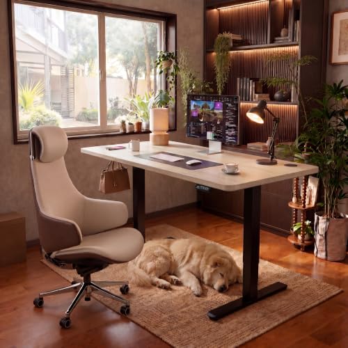 Image of Furmax Electric Height Adjustable Standing Desk Large 48 x 24 Inches Sit Stand up Desk Home Office Computer Desk Memory Preset with T-Shaped Metal Bracket, Maple