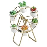 Youfui Ferris Wheel Plant Stand with 6 Planters Succulent Pots for Home Office Desk Decoration (Gold)