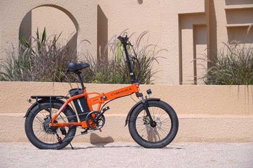 Image of 1000W Folding Electric Bike, 48V 20.8AH Large Removable Battery E-Bike, 30+MPH, 80 Miles Max Range, 20 inch Fat Tire Electric Bike for Adults, Adult Electric Bicycles for Commute