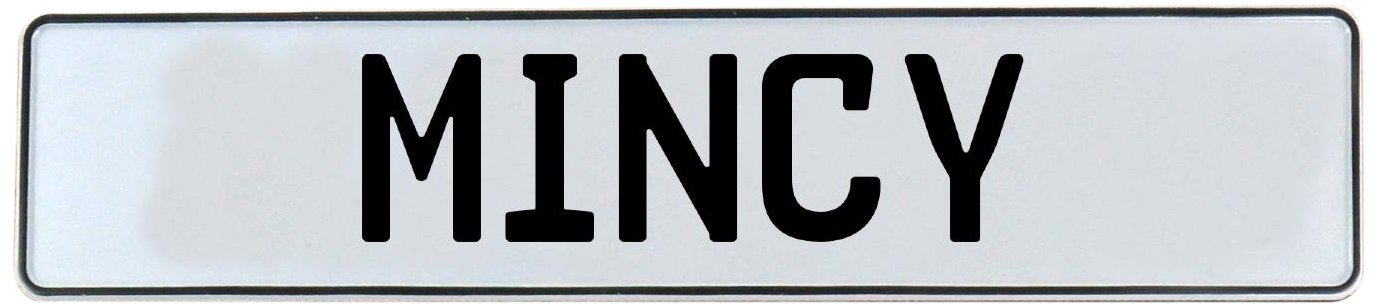 Vintage Parts 713675 Wall Art (Mincy White Stamped Aluminum Street Sign Mancave)