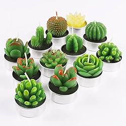 Weinsamkeit 12 Velas Hechas a Mano Delicadas de Cactus, Suculentas para Fiestas de Cumpleaños, Bodas, Decoración Del Hogar, Regalos Y Gastronomía