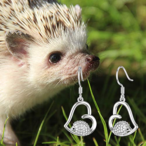 Orecchini riccio gancio in argento Sterling 925