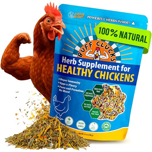 Buff Clucks Herb Supplement for Backyard Chickens - Natural Chicken Treats, Poultry Feed Botanical Mix, Plant-Based Coop Snacks for Daily Wellness, Feather Quality, Egg Production, USA (12 oz)