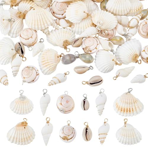 PH PandaHall 72pcs 12 Styles Natural Shell Pendants White Scallop Spiral Cowrie Shell Pendants Natural Seashells Charms Jewelry Charms for Jewelry Making Home Decor Wedding Summer Ocean Beach Party