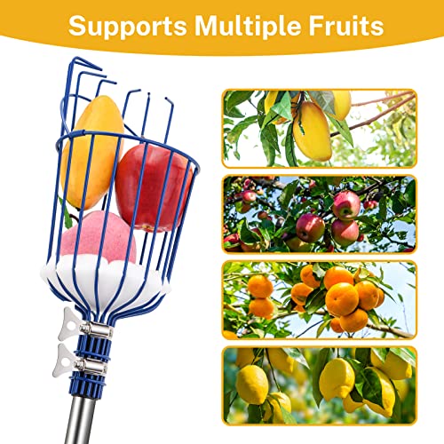 Oak Leaf Fruit Picker, 13 FT Picker Pole with Basket, Length Adjustable Apple Orange Picker Tool Tree Fruit Catcher with Lightweight Stainless Steel Connecting Pole, Foam Pad, 2 Metal Clamp(Upgraded)