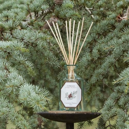 Difusor de varillas Carrière Frères Cypress aroma natural miniatura 1