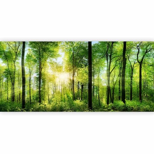 artgeist Wall Mural Peel and Stick Forest 212x98 in -