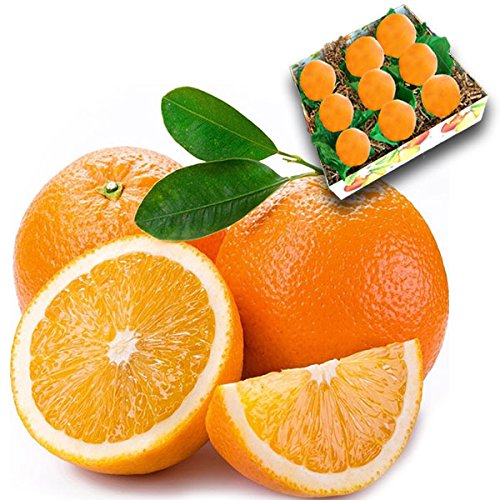 Fresh Oranges
