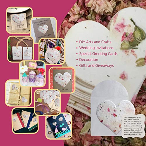 Seed Bloom SEEDB_OFTHEEARTH_24SHEARTKIT_9.45 24-Piece Set Handmade Seed Paper Embedded thumb #6
