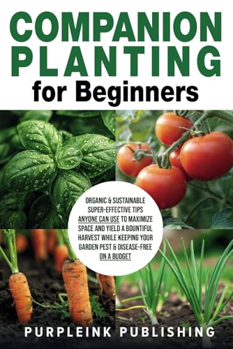 COMPANION PLANTING For Beginners