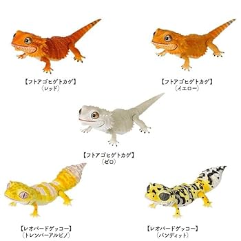 いきもの大図鑑　フトアゴヒゲトカゲ　くわがた　かぶと　レオパ　爬虫類 いきもの大図鑑プレミアム フトアゴヒゲトカゲ（イエロー