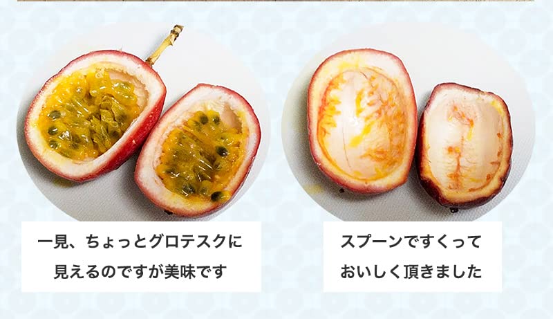 Amazon｜パッションフルーツ（時計草） 実付き 6号（直径18cm
