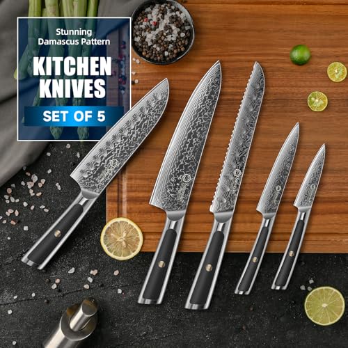 Image of Sunnecko Damascus Kitchen Knife Set 5 Piece, Sharp Chef Knife Set Professional Kitchen Knives Sets Full Tang with Gift Box