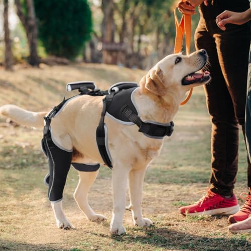 Image of Dog ACL Knee Brace for Torn ACL & Luxating Patella-Adjustable Leg Support with Sufficient Wrapping and Support, Non-Slip Joint Brace for Dogs, Pain Relief & Better Recovery-Right Leg-XL