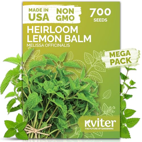 KVITER 700 Lemon Balm Seeds for Planting (Melissa Officinalis) – Heirloom & Organic Medicinal Herb Seeds – Grow in Herb Garden, Pots, Beds Indoors & Outdoors for Calming Lemon Balm Tea