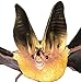 Safari Ltd Incredible Creatures Townsend's Big-Eared Bat