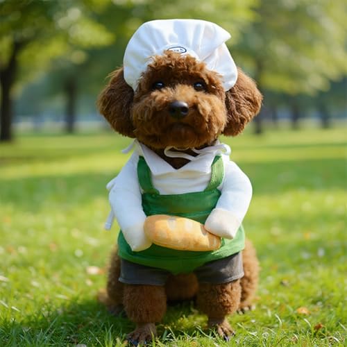 Disfraz de Chef para Perro y Gato B1 miniatura 5