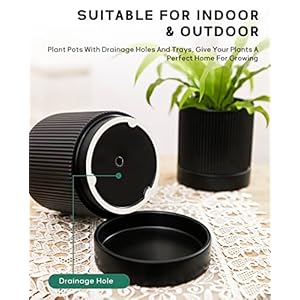 Ladovita 3 pack ceramic plant pots 654 inch flowerpot for indoor plants with drainage holes and tray outdoor garden planters modern decorative for home black vertical stripes  urban country home decor