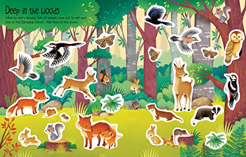 First Sticker Book Nature (First Sticker Books) - Image 4