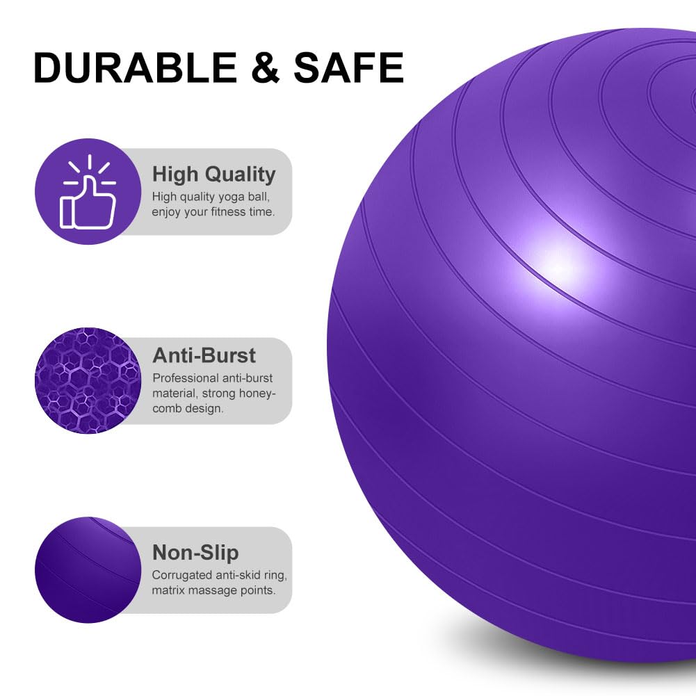 flintronic Palla Fitness, Palla da Ginnastica, 55/65cm Palla Anti-Scoppio, Palla di stabilità, con Pompa, Strumento Tappo Pompa, E Manuale per Yoga, Esercizi di Equilibrio, Allenamento, Fitness