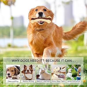   Dog-Toys-for-Aggressive-Chewers-2-Pack-Nylon-Durable-Dog-Bones-with-Real-Beef-Flavor-for-LargeMediumSmall-Breeds-Pet-Chew-Toys