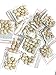 5 Pack Indian Nut 60 Seeds for Weight Loss original Nut,Indian seed