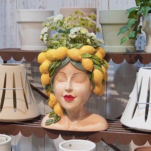 DiliComing Face-Planters Pots Head Garden Decor - 12 Inch Planters Pot with Drainage Hole for Indoor and Outdoor 10.4 x 9.1 x 11.9 Inch Cover