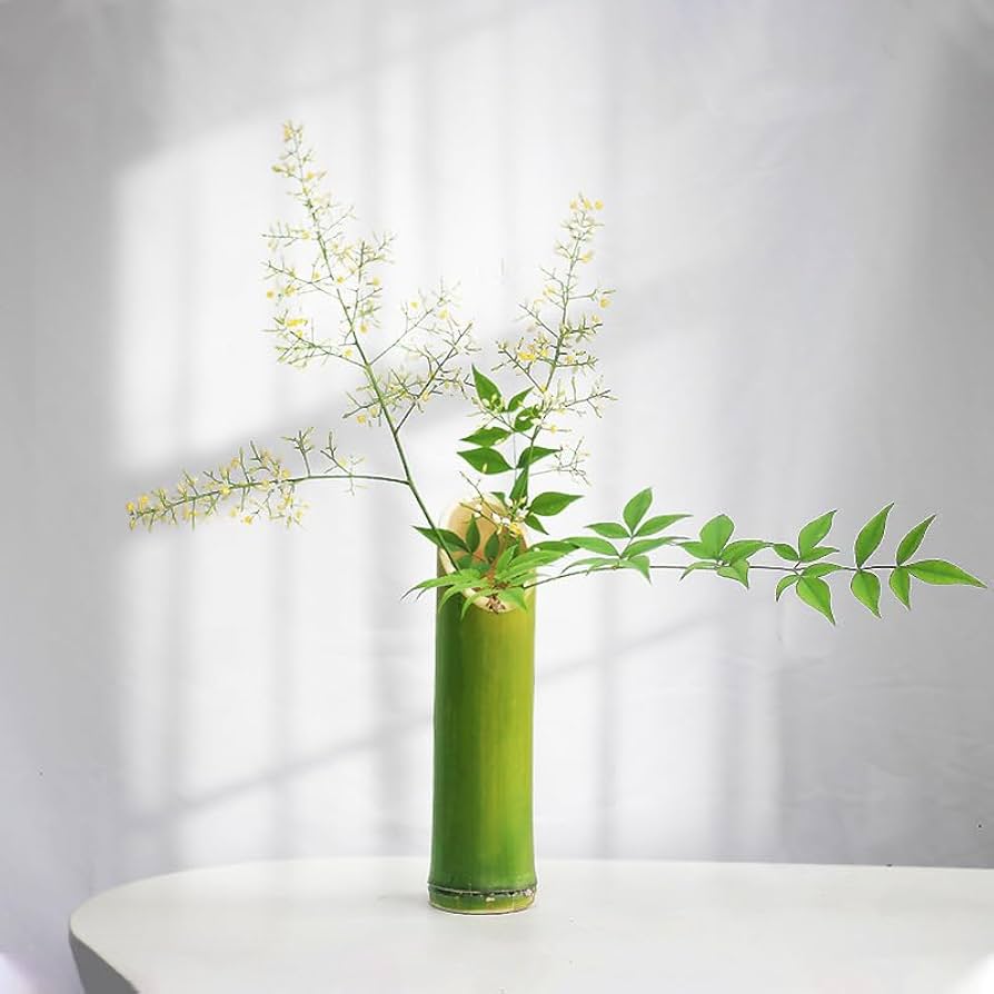 花瓶 竹 3点セット 竹型花瓶 Amazon.co.jp: Aoccqkf 3点セット竹筒花瓶 フラワープランター