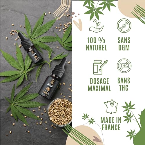 ARTISAM | Huile de CBD PURE H 40% 4000 mg Pressée à Froid | Huile de Graines de chanvre | Formule Premium Fabriquée en France | Sommeil Puissant | cdb Hemp Oil herbe puff infusion Tisane hhc 10 ml – Image 3