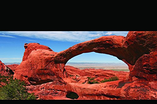 CAROLINACUSTOMCAGES Reptile Habitat Background, Big Arch, 15.75