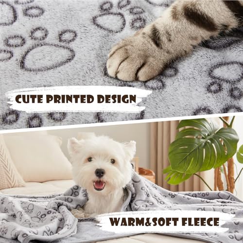 luciphia Hundedecke Katzendecken Waschbar Flauschig, 1 Pack 3 Decken Super Weich Fluffy, Kuscheldecke Fleece Haustier Decken für Hunde Katzen, Kann für Sofas, Autos, Betten, Liebe Pfote 40 * 60cm