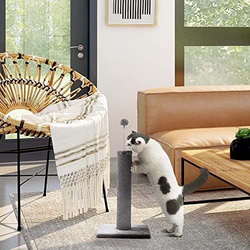 List of Top Ten Best Carpet Cat Scratching Post [Top Picks 2023 Reviews]