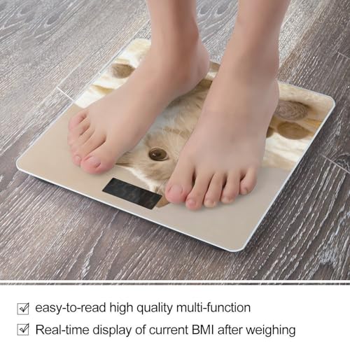 Báscula Digital de Baño con Plataforma de Vidrio Templado miniatura 5