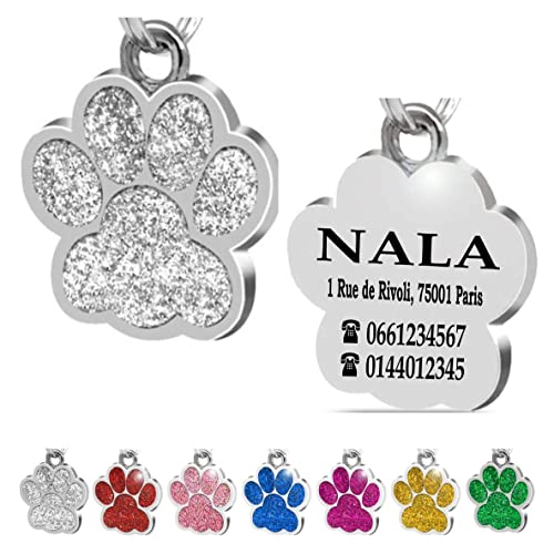 Genérico Médaille personnalisée pour Chien et Chat - Idéale pour Graver Votre nom et Votre Contact - Plaque d'identification en Acier Inoxydable - Couleur Argent - Ibera Gifts
