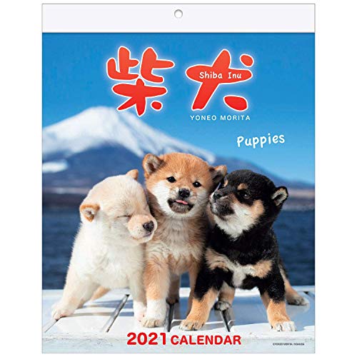 Shiba Inu Wall Calendar with Adorable Shiba Dog Puppies' Pictures (Wall 2021 with Free Desktop 2020) California 