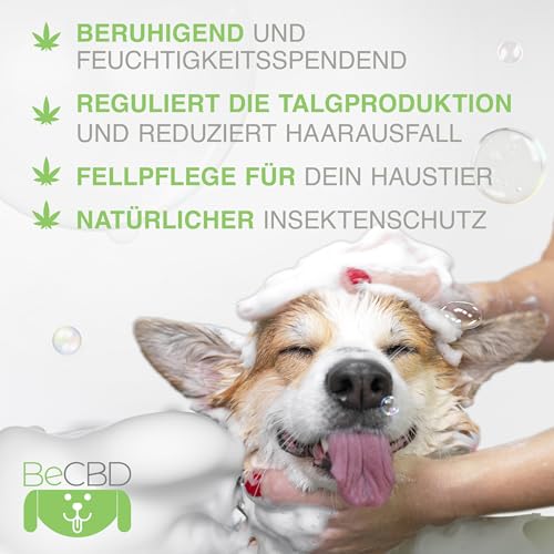 BeCBD - Natürliches Hundeshampoo mit CBD | Beruhigend & Pflegend für Empfindliche Haut | Hypoallergen & Tränenfrei, 250 ml