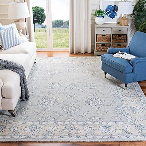 SAFAVIEH Micro-Loop 8x10 Blue/Beige