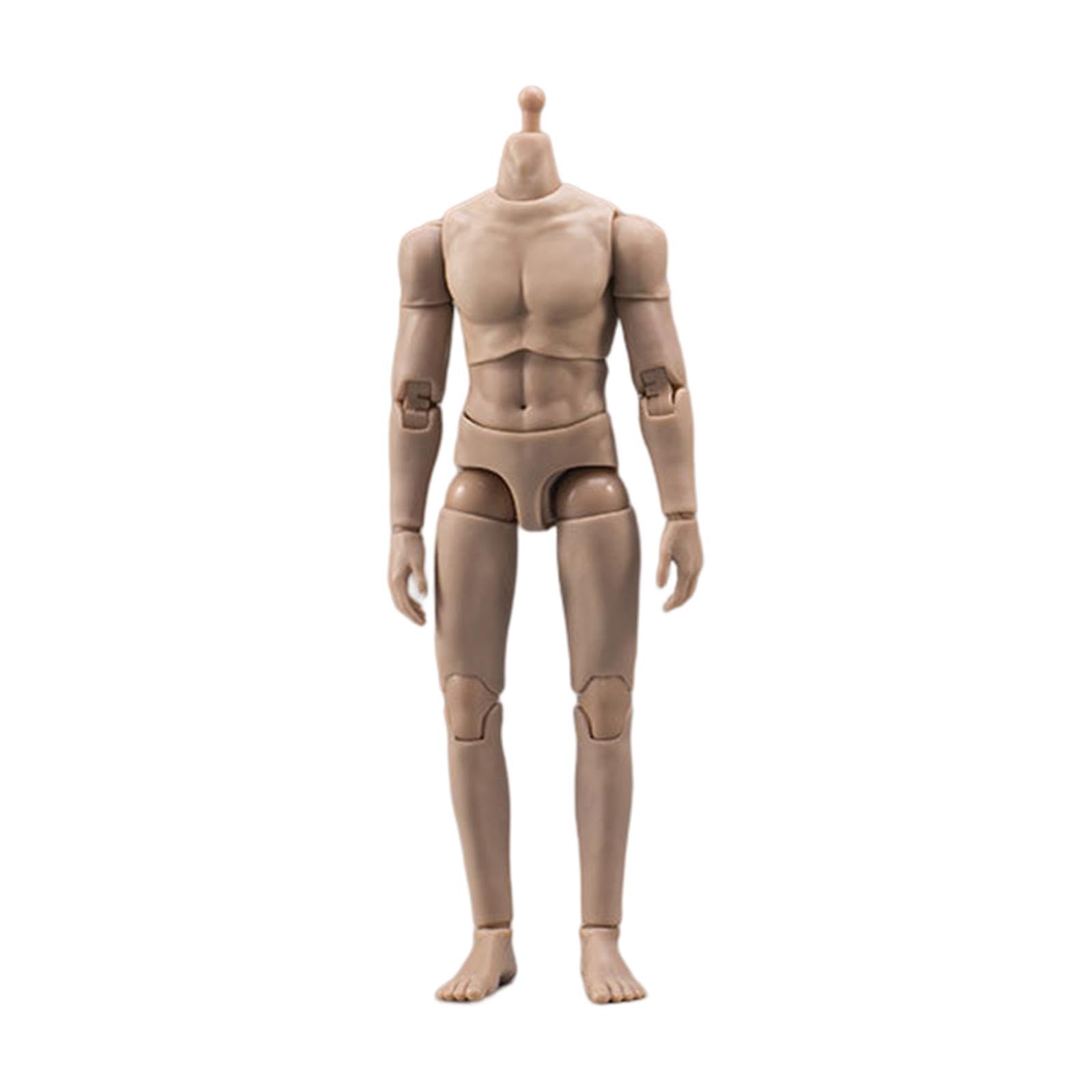 Amazon.co.jp: 1:12 男性アクションフィギュア 6インチ男性柔軟な