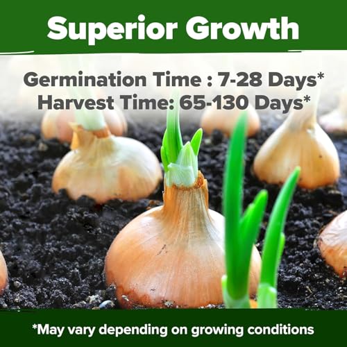 Image of HOME GROWN 8 Onion Variety Mix 1600+ Heirloom Non-GMO Seeds for Planting, High Germination, Red, Yellow, White, Sweet Vidalia & Spanish Bulb Onions, Green Scallions,Indoor Outdoor Garden (Allium cepa)