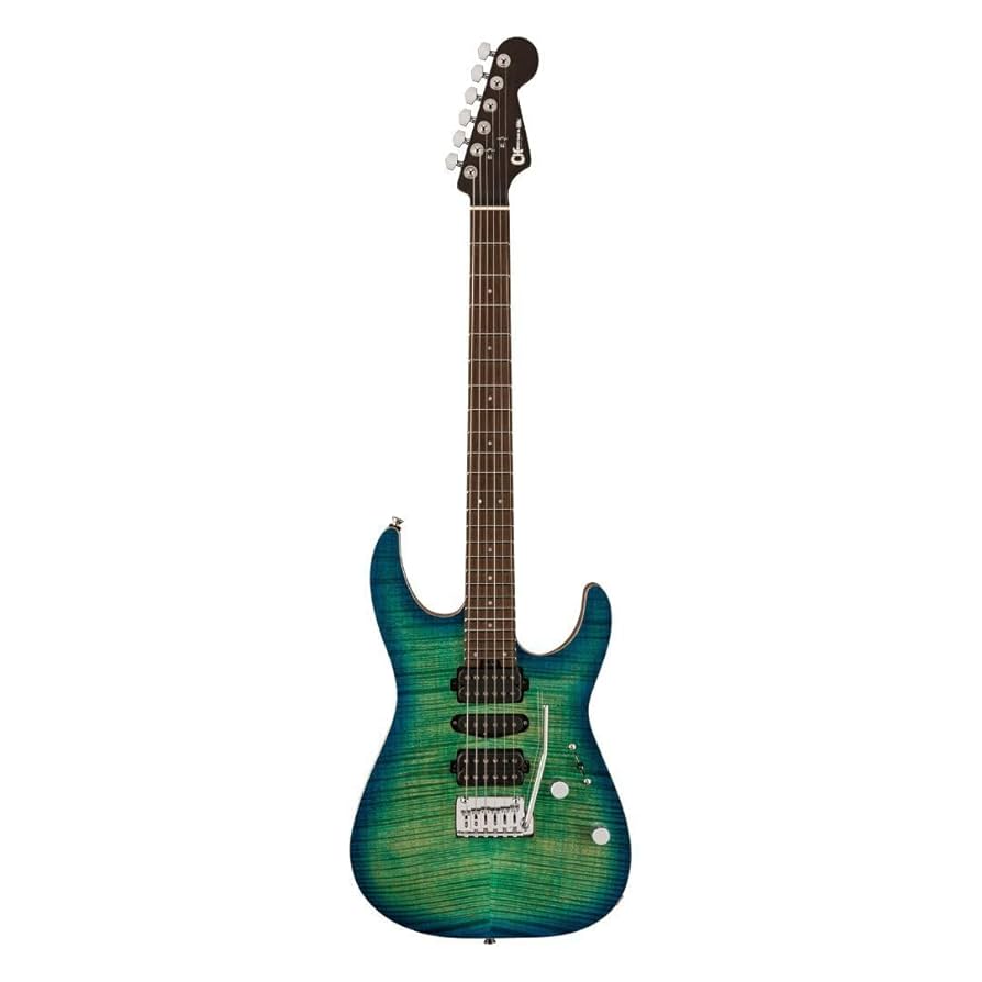 Amazon.com: Charvel MJ DK24 HSH 2PT Electric Guitar